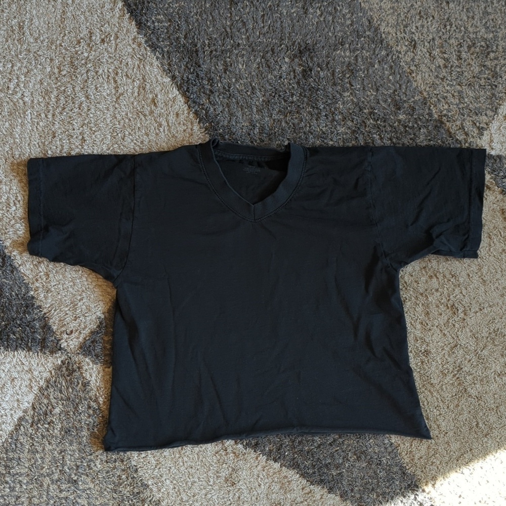 John Galt Brandy Melville Gray / Black crop top V-Neck